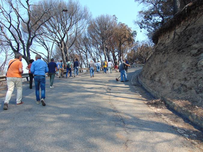 images Incendi. Calabria Verde ha avviato i lavori di bonifica all'esterno del Parco 'Li Comuni'