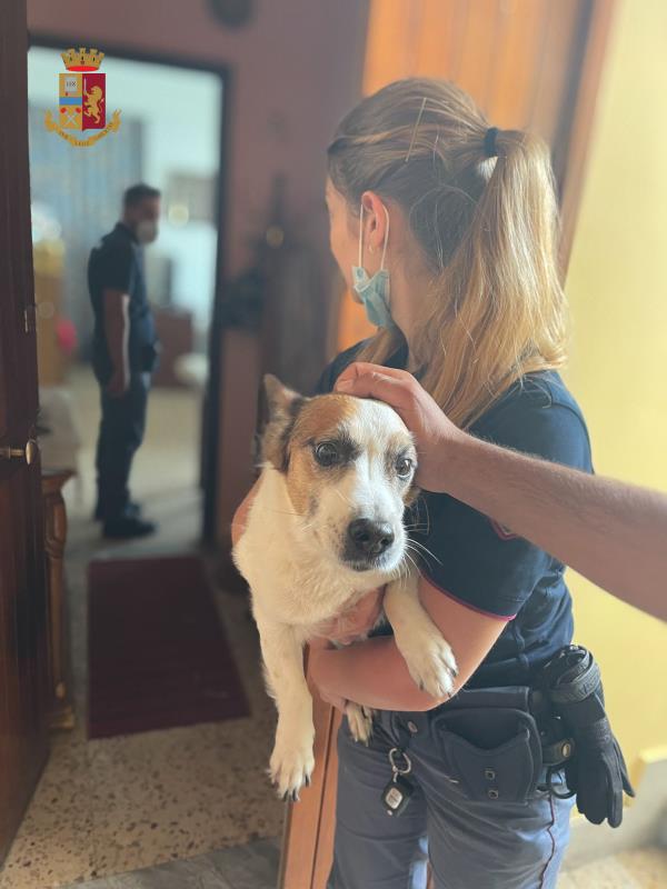 images Reggio Calabria. Prende fuoco un appartamento: salvi i residenti 