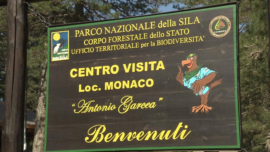 Irregolarità nell'affidamento della piscina di Crotone: gara assegnata a chi aveva un milione di euro di debiti con il Comune images Irregolarità nell'affidamento della piscina di Crotone: gara assegnata a chi aveva un milione di euro di debiti con il Comune