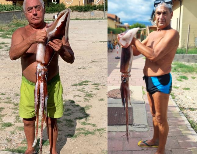 images Cropani, pescato rarissimo esemplare di totano gigante 