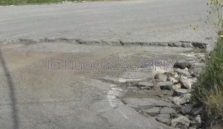 Catanzaro, il Comitato di Viale Tagliamento: "Strade dissestate dai mezzi pesanti" (VIDEO) images Catanzaro, il Comitato di Viale Tagliamento: "Strade dissestate dai mezzi pesanti" (VIDEO)