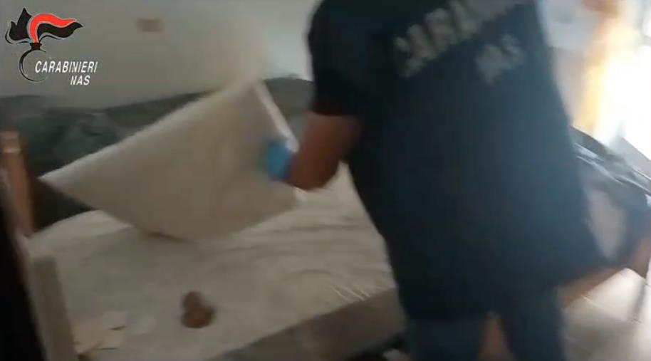 Casa di riposo degli orrori nel Reggino: anziani tra feci e urina, molti affetti da scabbia (VIDEO) images Casa di riposo degli orrori nel Reggino: anziani tra feci e urina, molti affetti da scabbia (VIDEO)