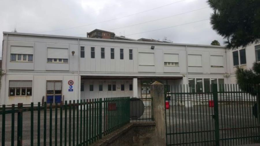 images La paura del cinghiale fa il bis alla "D'Errico": lezioni sospese anche martedì 