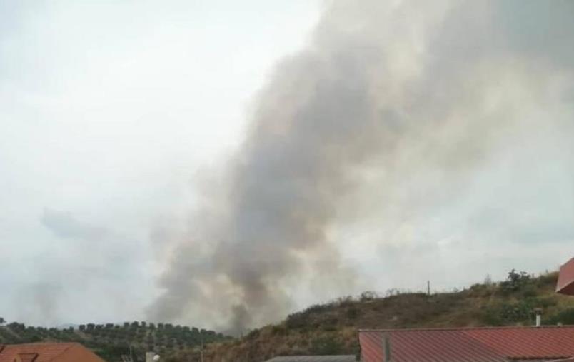 images La prevenzione piace ai ragazzi