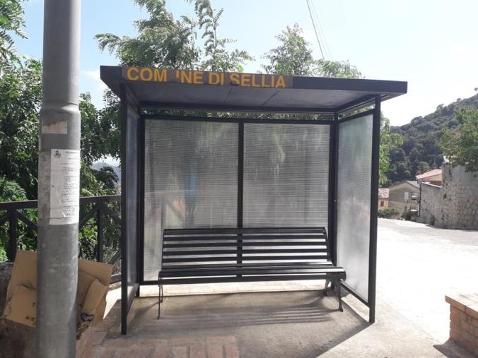 images Randagismo: non è solo un problema estivo