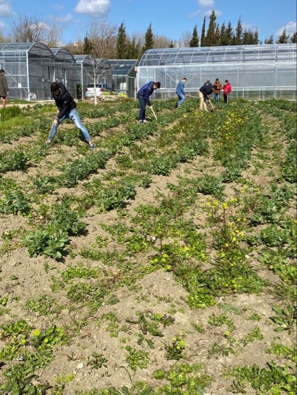 images Il caso dell'Istituto tecnico Agrario di Catanzaro: progetti pagati, gara appaltata e lavori mai iniziati