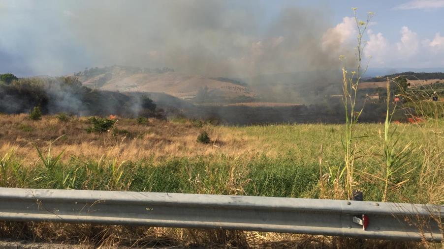 images La riscoperta della Cattedrale di Catanzaro, tra 3D e tradizione