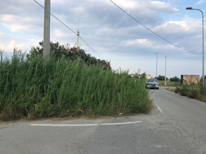 "Asclepio", la scuola per accedere alle Facoltà a numero programmato images "Asclepio", la scuola per accedere alle Facoltà a numero programmato