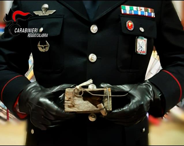 images Taurianova. I Carabinieri denunciano un agricoltore 63enne. Nascondeva&nbsp; 72 ghiri catturati illegalmente in un casolare