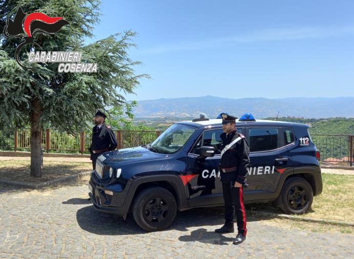 images Non lo aiuta a macellare il maiale e lui l'ammazza di botte: arrestato nel Cosentino