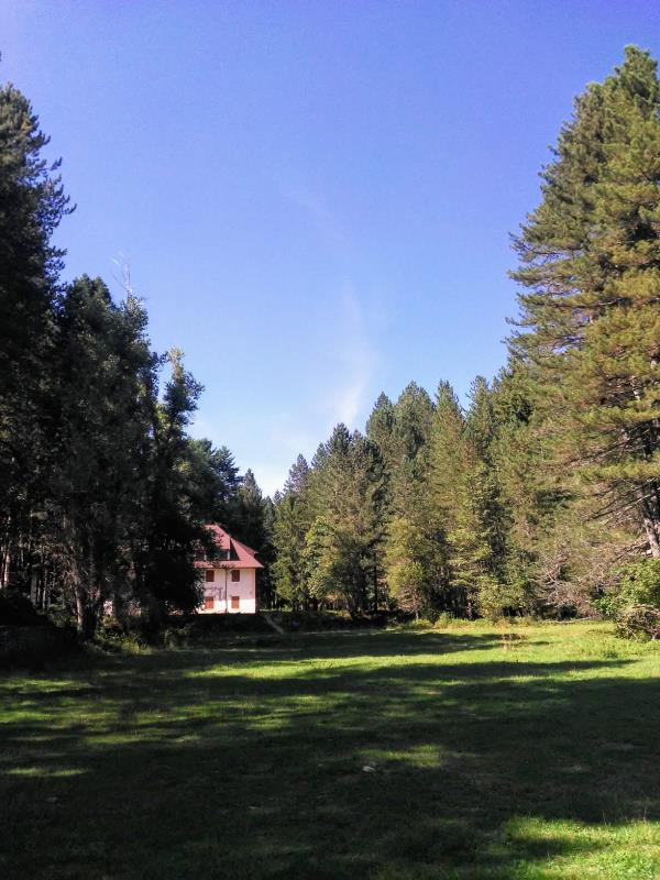 images Cariati, appello del pizzaiolo "Pedro's" ai commercianti: "Non si perda identità" 