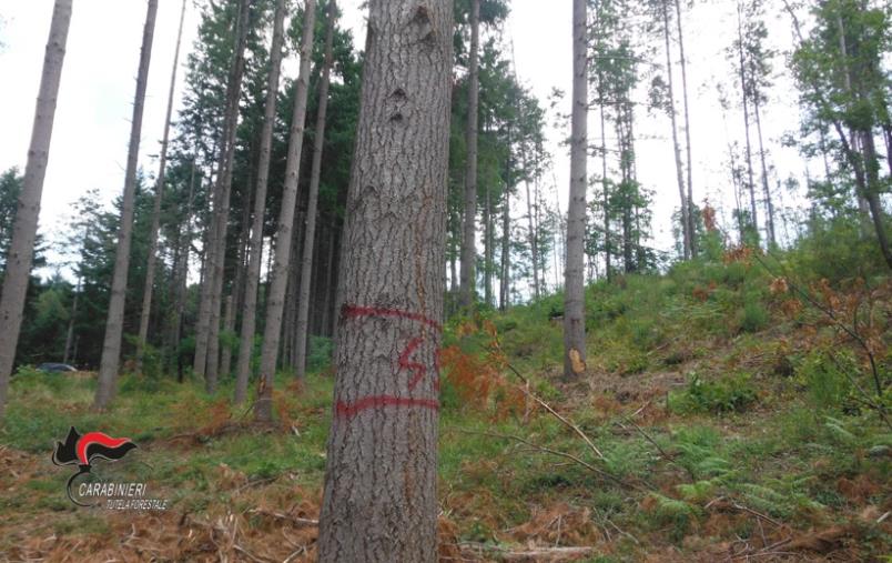 Cariati, sì alle imprese come momento di crescita images Cariati, sì alle imprese come momento di crescita