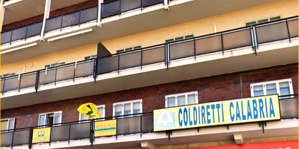 Villaggio Coldiretti Consumi: buoni i risultati dell’olio extravergine per la dieta degli astronauti images Villaggio Coldiretti Consumi: buoni i risultati dell’olio extravergine per la dieta degli astronauti