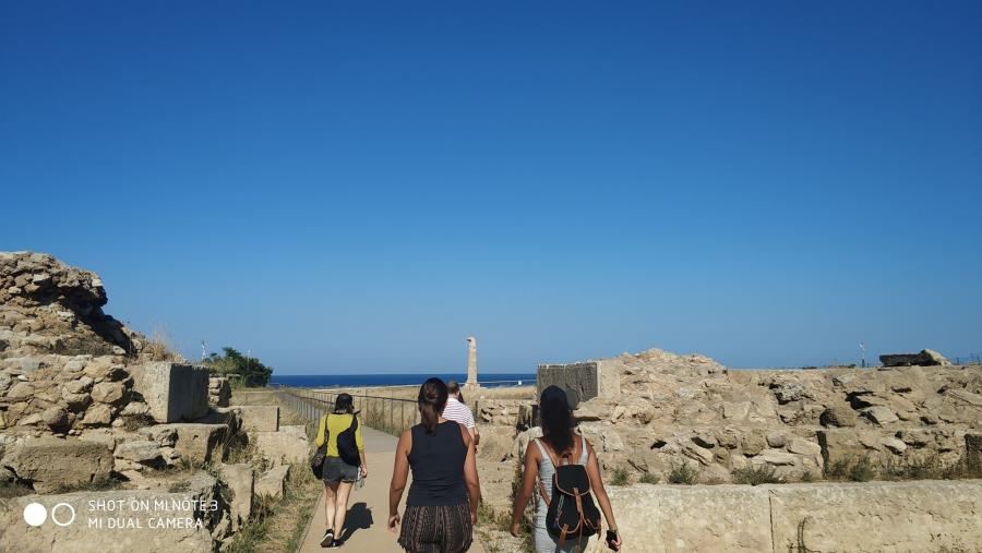 images Forza Italia dopo azzeramento giunta: "Pugliese cambi effettivamente passo"