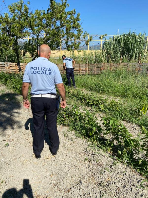 images Catanzaro, 7000 mq irrigati abusivamente a Germaneto: scatta il sequestro
