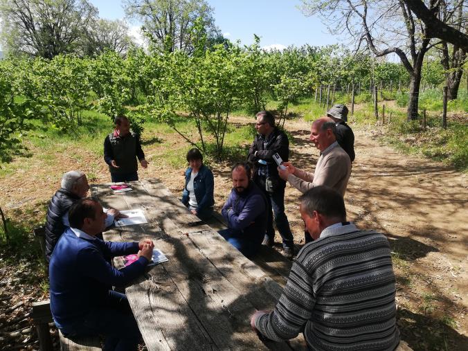 images La Nocciola Tonda di Torre di Ruggiero oggetto di ricerca nel progetto "Valtifru 4.0"