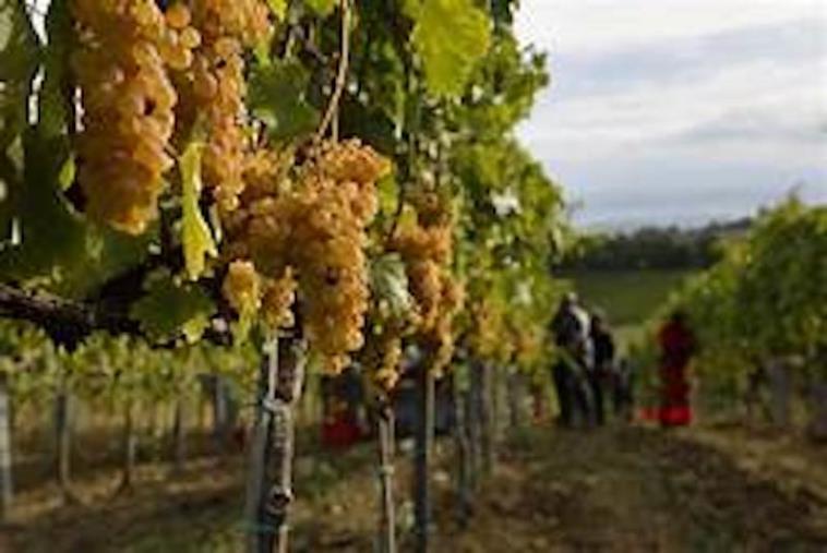 Il presidente Irto inaugurerà la riapertura
dei tre teatri a Lamezia Terme images Il presidente Irto inaugurerà la riapertura
dei tre teatri a Lamezia Terme