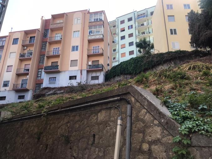 Ripulita l’area compresa tra Via Bellini e Via Cilea, Sergio Costanzo (FareperCatanzaro): "Continueremo a vigilare" images Ripulita l’area compresa tra Via Bellini e Via Cilea, Sergio Costanzo (FareperCatanzaro): "Continueremo a vigilare"