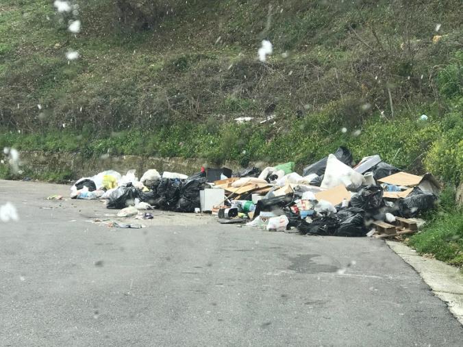 images Catanzaro. Furbetti della spazzatura fuori controllo in via Smaldone: ora si reclamano interventi definitivi