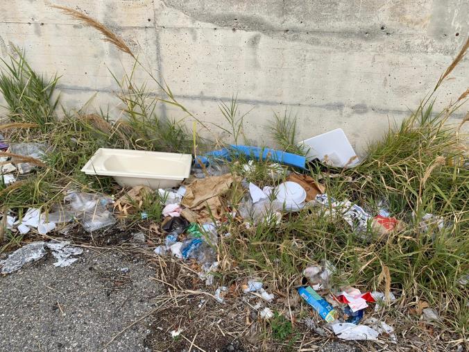 Rifiuti dappertutto e di ogni genere a Via Paglia. Veraldi chiede la bonifica del sito e l'installazione delle foto trappole images Rifiuti dappertutto e di ogni genere a Via Paglia. Veraldi chiede la bonifica del sito e l'installazione delle foto trappole