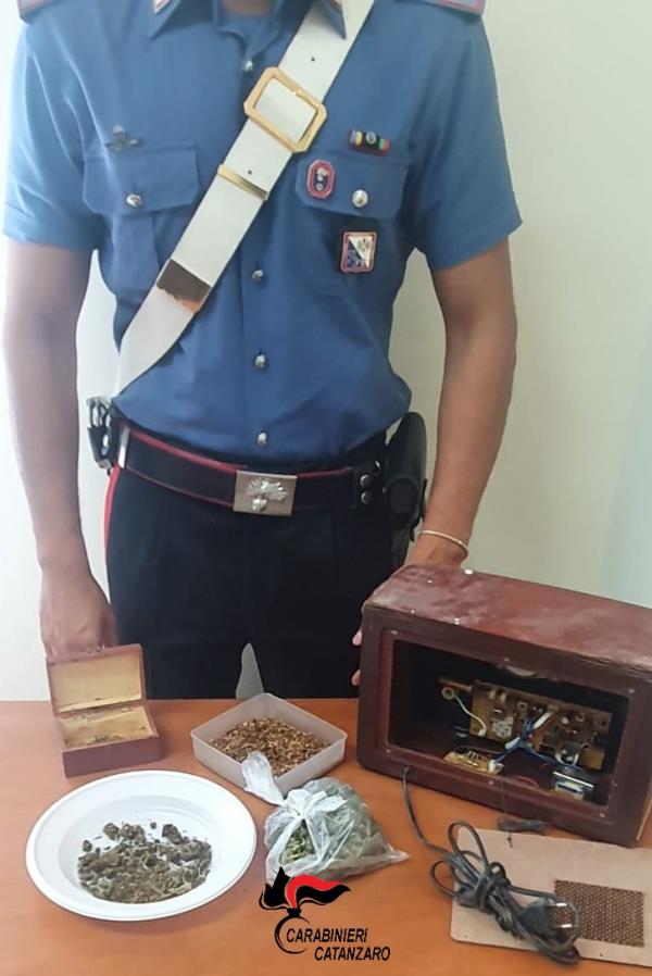 Droga in casa e in una radio d'epoca, il fiuto di Black non tradisce: una denuncia e due segnalazioni a Vallefiorita images Droga in casa e in una radio d'epoca, il fiuto di Black non tradisce: una denuncia e due segnalazioni a Vallefiorita