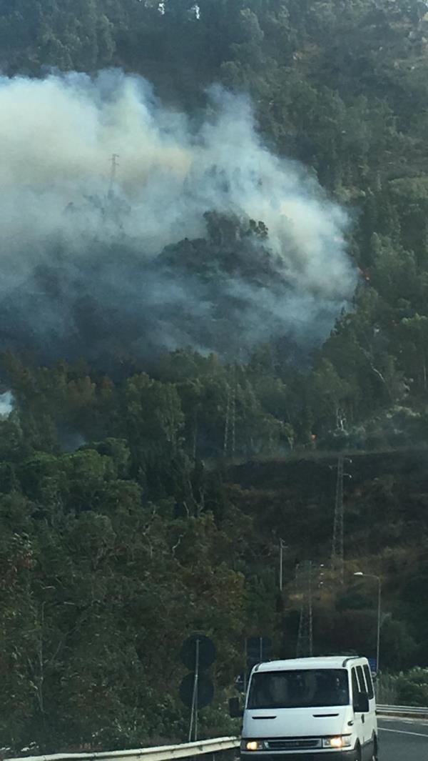 Taekwondo, Bronzo alle Universiadi per il cropanese Flecca images Taekwondo, Bronzo alle Universiadi per il cropanese Flecca
