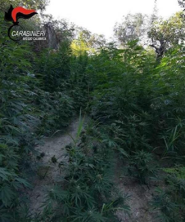 images MGFF, successo di pubblico per il film “In viaggio con Adele”   