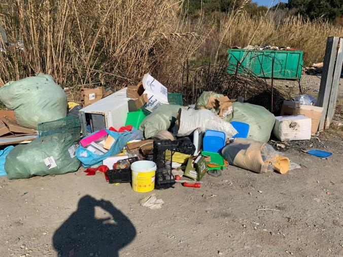 images Una bomba sanitaria all’isola ecologica, è allarme a Gizzeria (VIDEO)