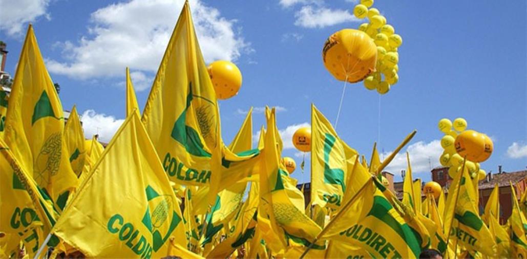 Coldiretti. Bonus Salva Made In Italy da 600 milioni: possono andare in sintonia ristorazione e agroalimentare calabrese images Coldiretti. Bonus Salva Made In Italy da 600 milioni: possono andare in sintonia ristorazione e agroalimentare calabrese