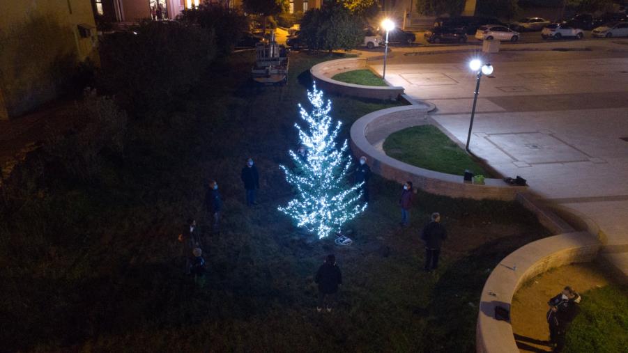 images Cropani Marina. In piazza San Marco svetta l’abete rosso dell'Associazione Primo Maggio: “Un simbolo di crescita, ma anche di radici”