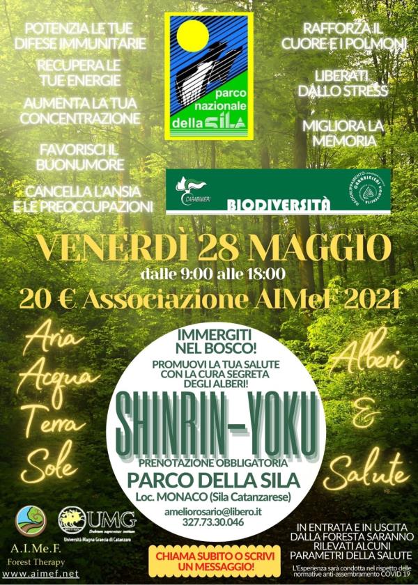 images Salute: avviati i corsi per consulente facilitatore in Forest Therapy