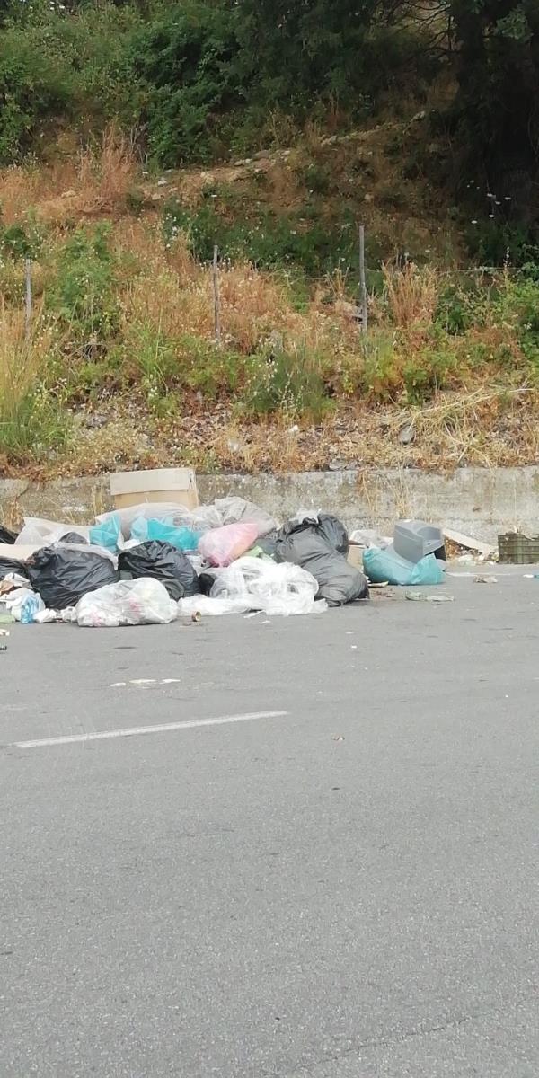 images Catanzaro. Tanti rifiuti e nessuna fototrappola: la solita incuria di via Smaldone (FOTO)