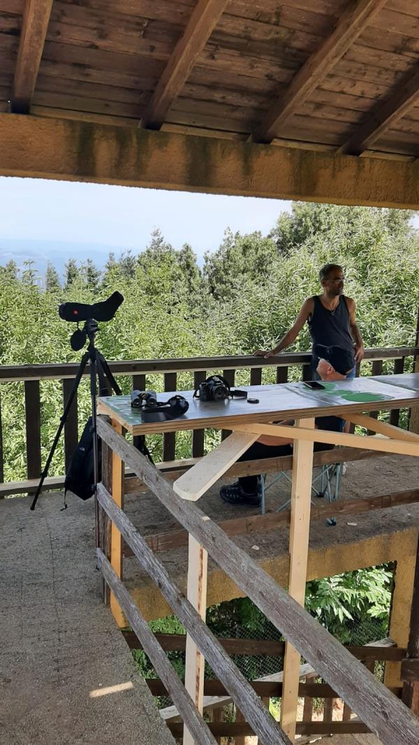 images Girifalco. Iniziativa di Legambiente all'Osservatorio ornitologico sulla migrazione post riproduttiva e autunnale del falco pecchiaiolo 
