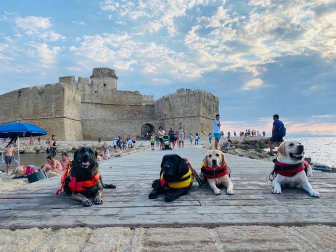 Crotone. In spiaggia con i 4 zampe dell'Associazione Cani Salvataggio all'insegna di prevenzione e sicurezza images Crotone. In spiaggia con i 4 zampe dell'Associazione Cani Salvataggio all'insegna di prevenzione e sicurezza