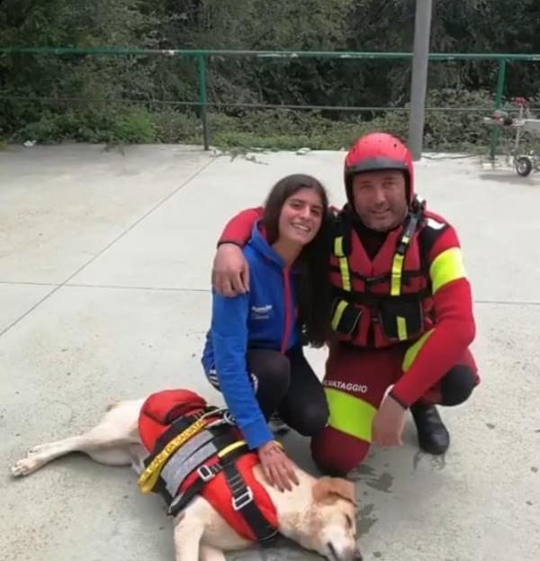 Lorica. Soccorsa dai cani salvataggio durante la gara di nuoto: "Grazie, fate con amore la vostra missione" images Lorica. Soccorsa dai cani salvataggio durante la gara di nuoto: "Grazie, fate con amore la vostra missione"