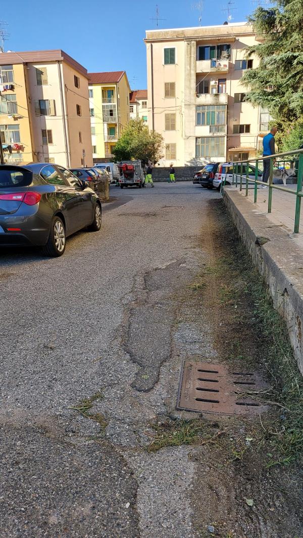 Catanzaro. La Sieco ripulisce via De Nobili solo dopo le continue richieste dei residenti (FOTO) images Catanzaro. La Sieco ripulisce via De Nobili solo dopo le continue richieste dei residenti (FOTO)