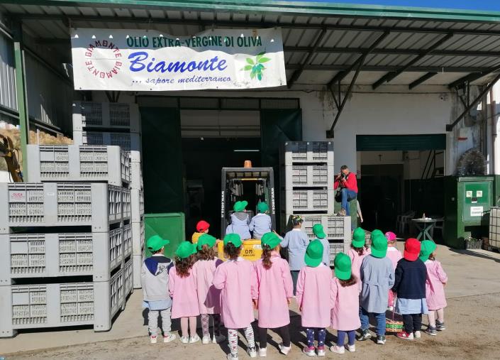 Scuola. All'IC. Cropani-Simeri l'autunno e i suoi sapori al centro del progetto "Una giornata al frantoio" realizzato dalla sezione Coccinelle images Scuola. All'IC. Cropani-Simeri l'autunno e i suoi sapori al centro del progetto "Una giornata al frantoio" realizzato dalla sezione Coccinelle