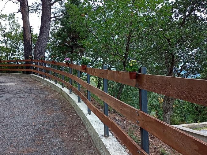 images Sellia. Zicchinella: "Da 13 anni la strada che porta al cimitero nella settimana della ricorrenza dei nostri cari defunti &nbsp;è un percorso fiorito"