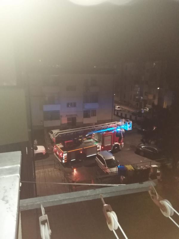 images Catanzaro. Gattino salvato dai vigili del fuoco in via De Nobili: le immagini del "tifo" del quartiere