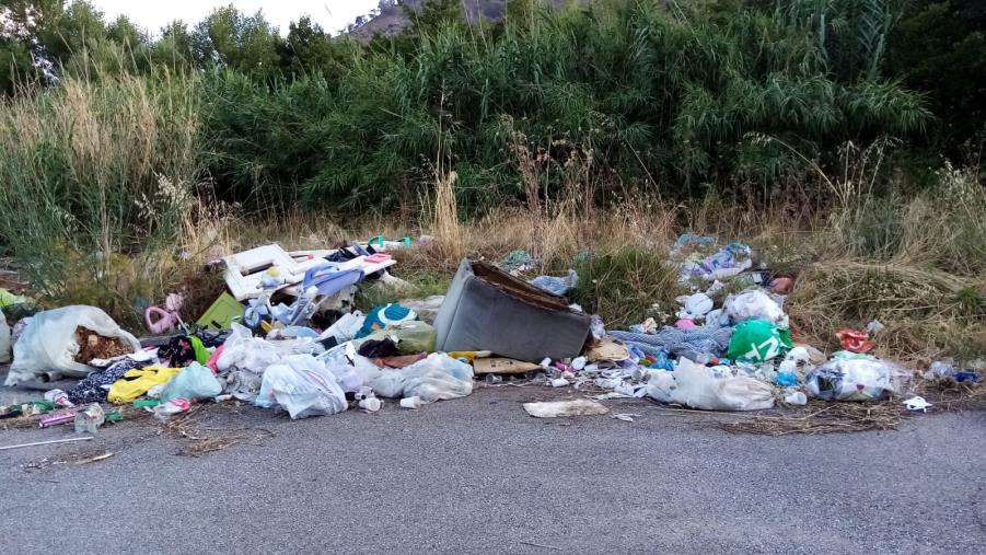 Squillace, fra le sterpaglie e i rifiuti spuntano i cinghiali (VIDEO) images Squillace, fra le sterpaglie e i rifiuti spuntano i cinghiali (VIDEO)