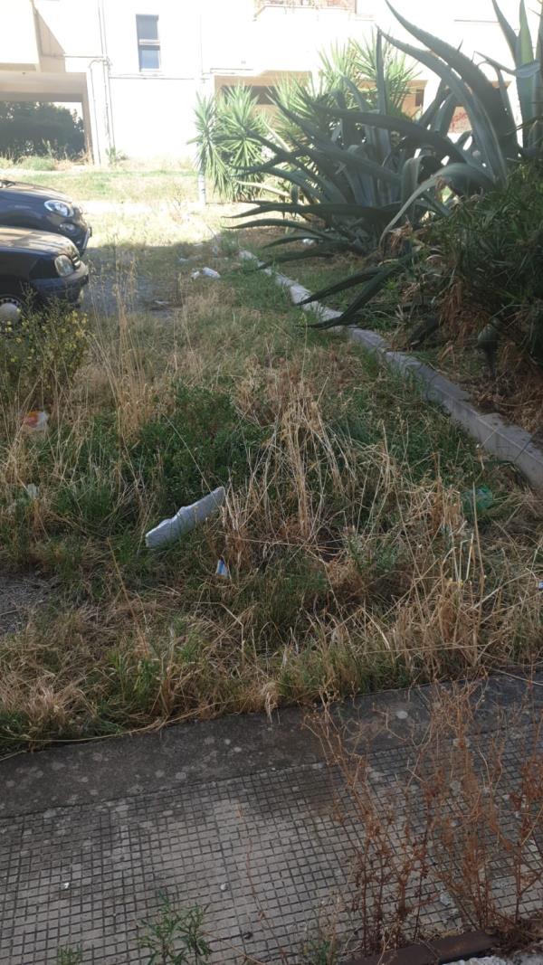 images Degrado a via Formia, Alleanza per Catanzaro: “Fogna a cielo aperto e marciapiedi inaccessibili”