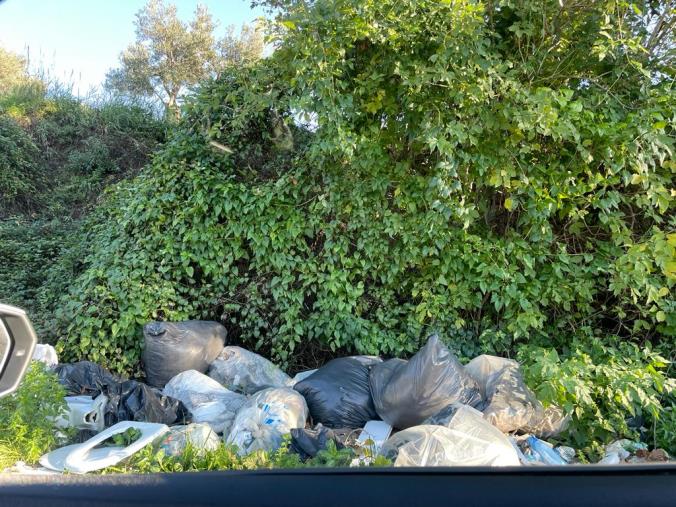 Catanzaro, ancora rifiuti per strada a Cavita: la protesta dei residenti images Catanzaro, ancora rifiuti per strada a Cavita: la protesta dei residenti