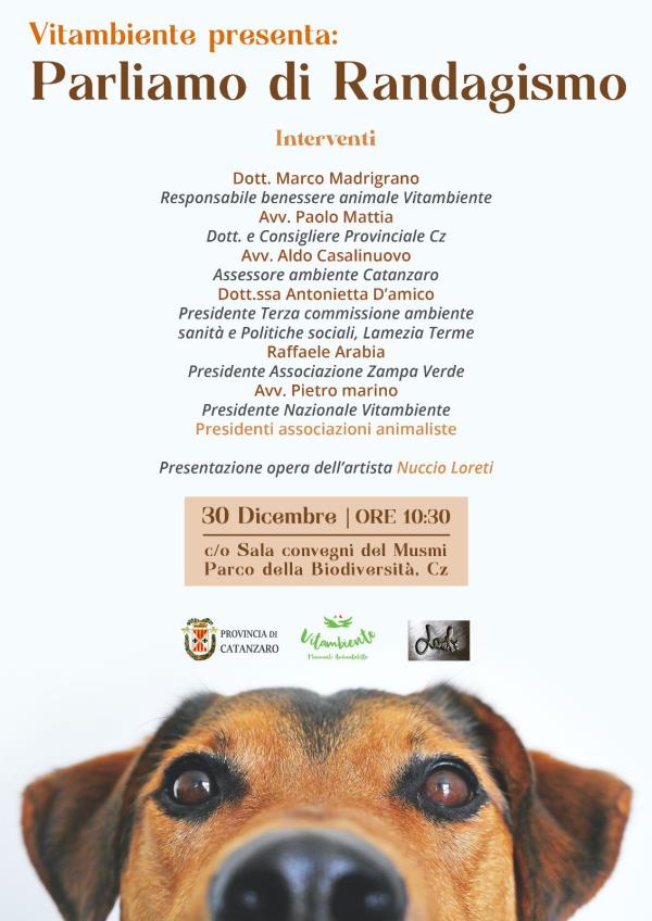 images Catanzaro, al Musmi “Parliamo di randagismo”: un'iniziativa di Vitambiente