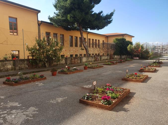images A Lamezia nasce la “Casa dei bambini”: una nuova sezione a metodo Montessori per la scuola "Diaz"