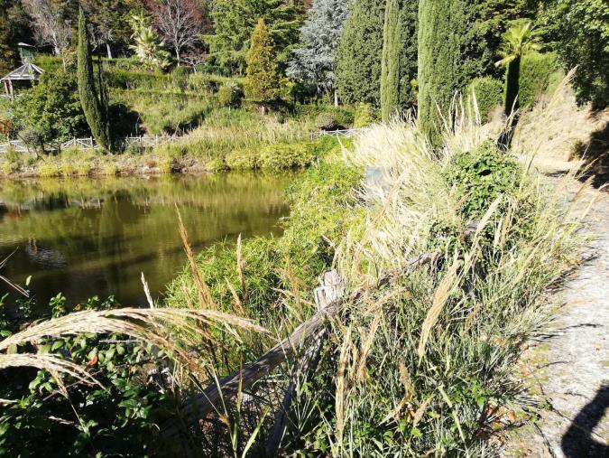 Ripristino del Parco "Li Comuni" a Catanzaro, il Comitato lamenta il ritardo dei lavori e chiede un nuovo incontro istituzionale images Ripristino del Parco "Li Comuni" a Catanzaro, il Comitato lamenta il ritardo dei lavori e chiede un nuovo incontro istituzionale