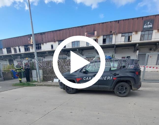 Rogo al capannone di Caraffa: volevano riscuotere l'assicurazione e aprire una nuova attività (NOMI E ACCUSE) images Rogo al capannone di Caraffa: volevano riscuotere l'assicurazione e aprire una nuova attività (NOMI E ACCUSE)