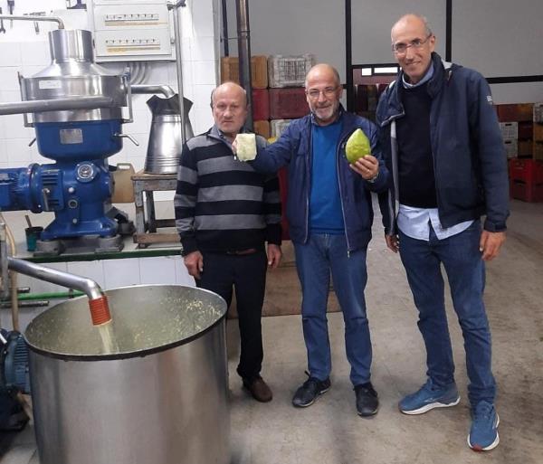 Il Consorzio Cedro di Calabria punta alla maggiore promozione del prodotto e della lavorazione images Il Consorzio Cedro di Calabria punta alla maggiore promozione del prodotto e della lavorazione