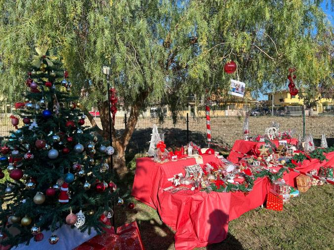 images Cropani, applausi ed emozione per il Natale solidale della scuola dell'infanzia, sezione "Arca di Noè"