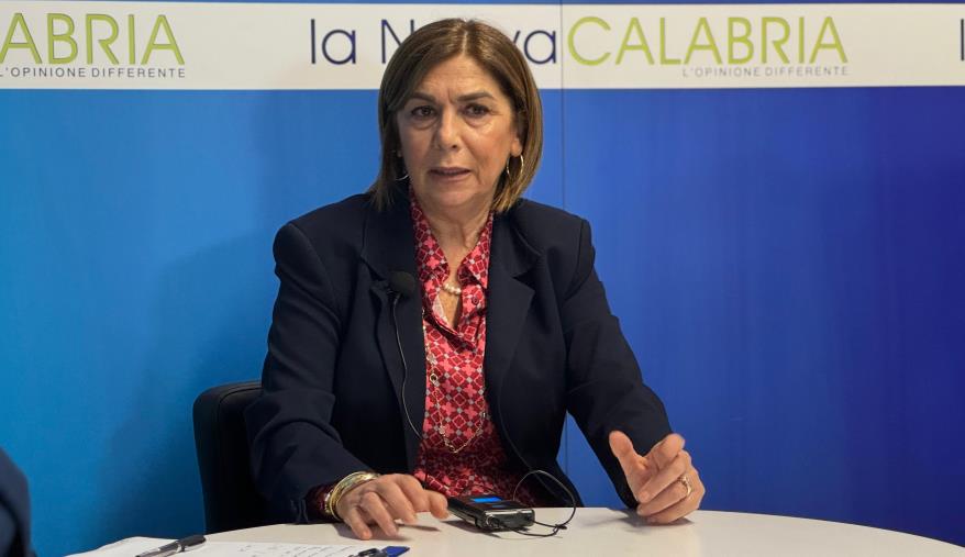 images Crisi al Comune di Catanzaro, l'assessore Giordano si dimette: "Fiorita libero di scegliere"