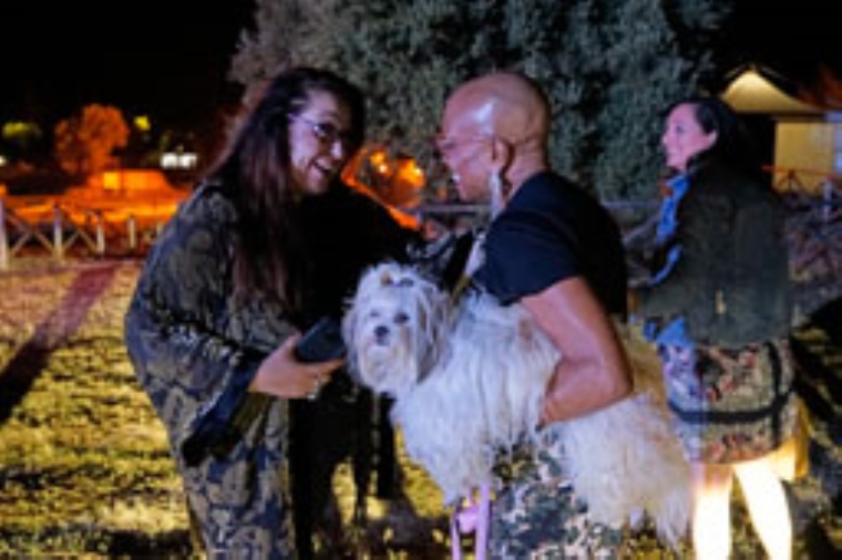 Riunione Regione-sindacati su Ferrovie della Calabria: assicurati investimenti e partecipazione Cometra images Riunione Regione-sindacati su Ferrovie della Calabria: assicurati investimenti e partecipazione Cometra